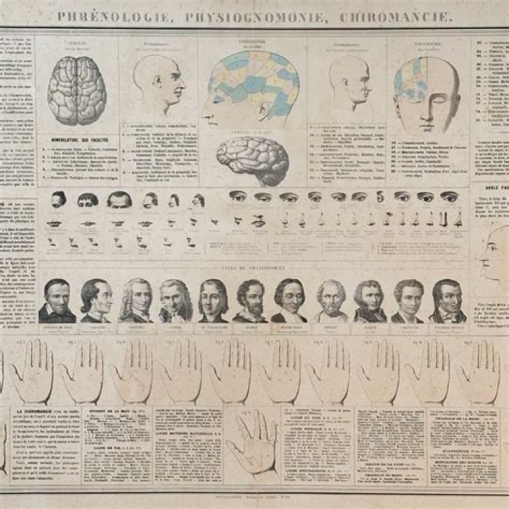 In the 1800s phrenology promoted the idea that?