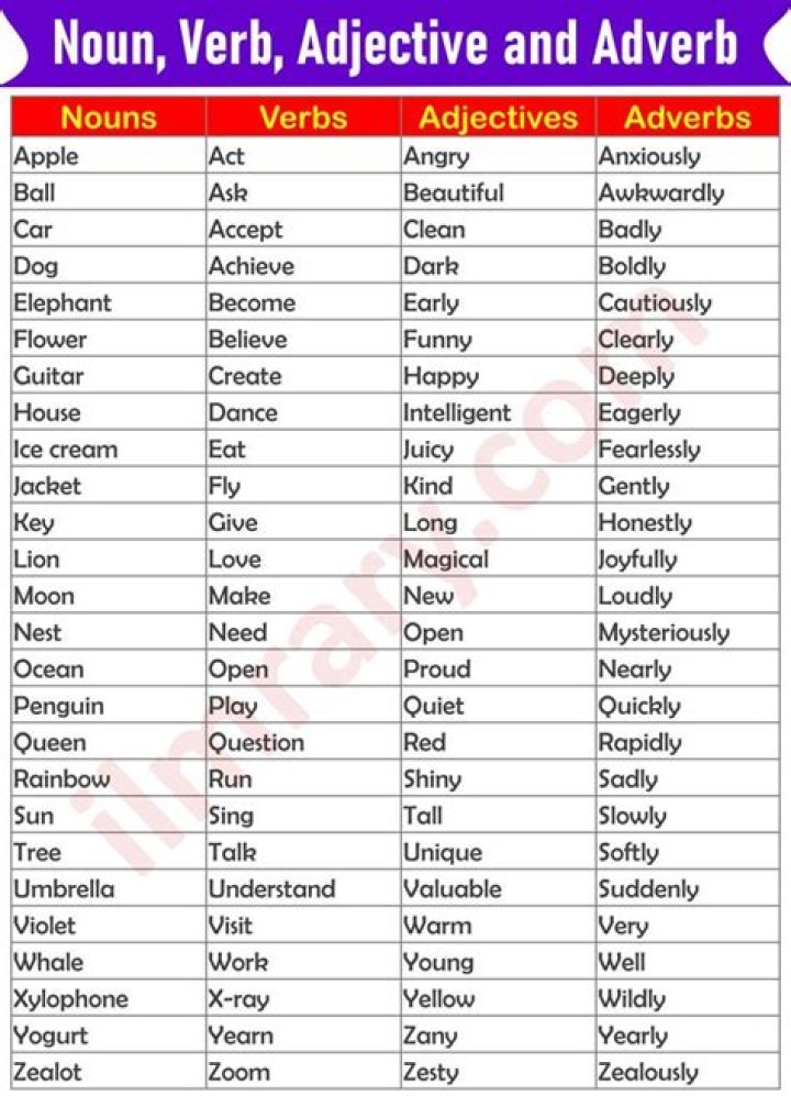 Is rapacious a noun or adjective?