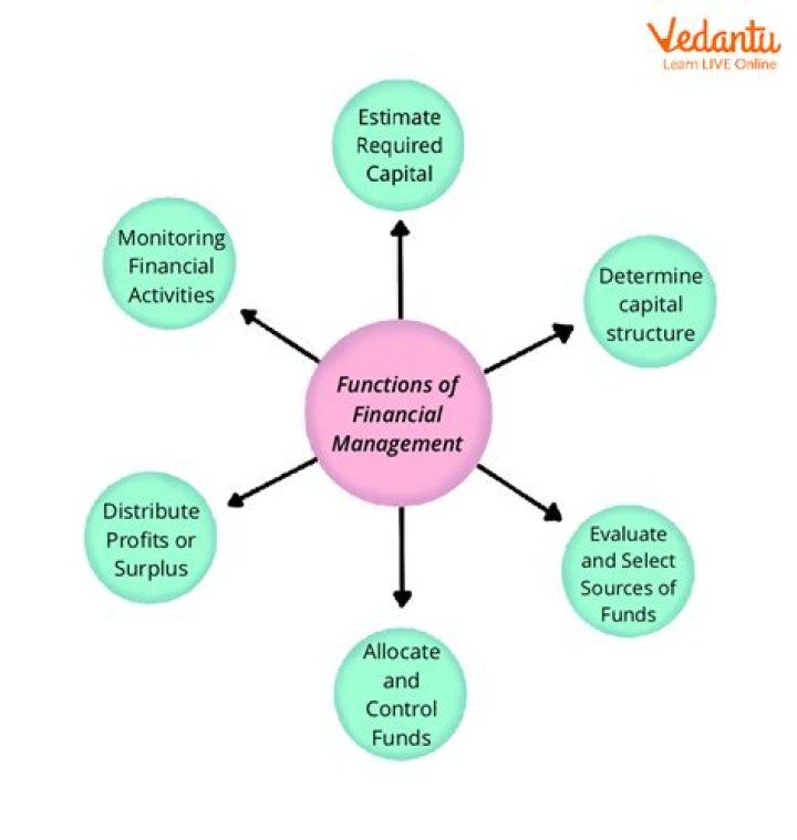 What are the three main functions of stevedoring companies?