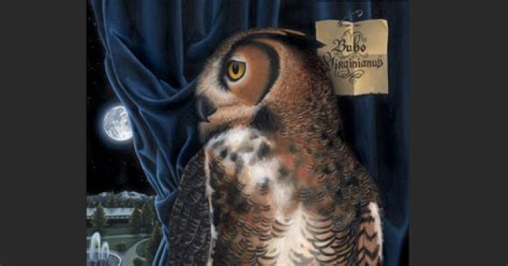 What does owlishly meaning?