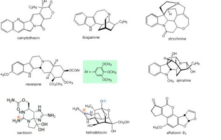 Where is pyrrole found?