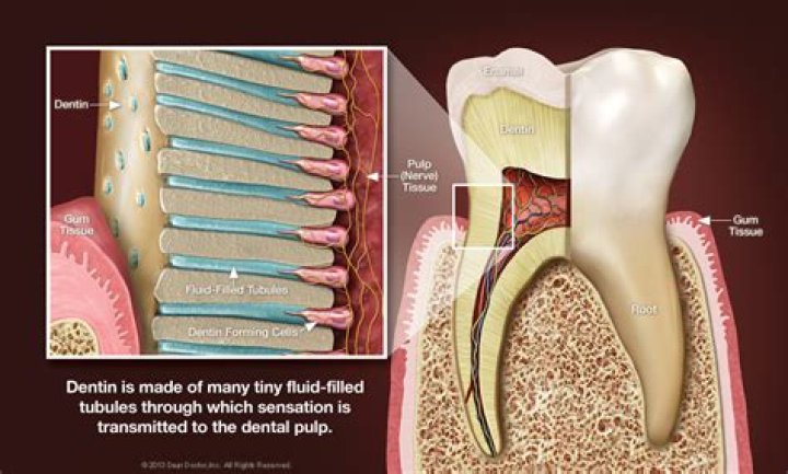 Will a sensitive tooth settle down?